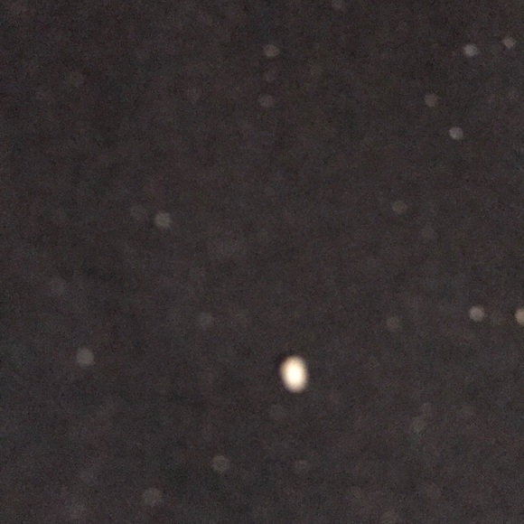 Meet your Posher, Rae - Picture 1 of 1